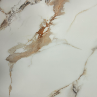 Placa de PVC brilhante 8266