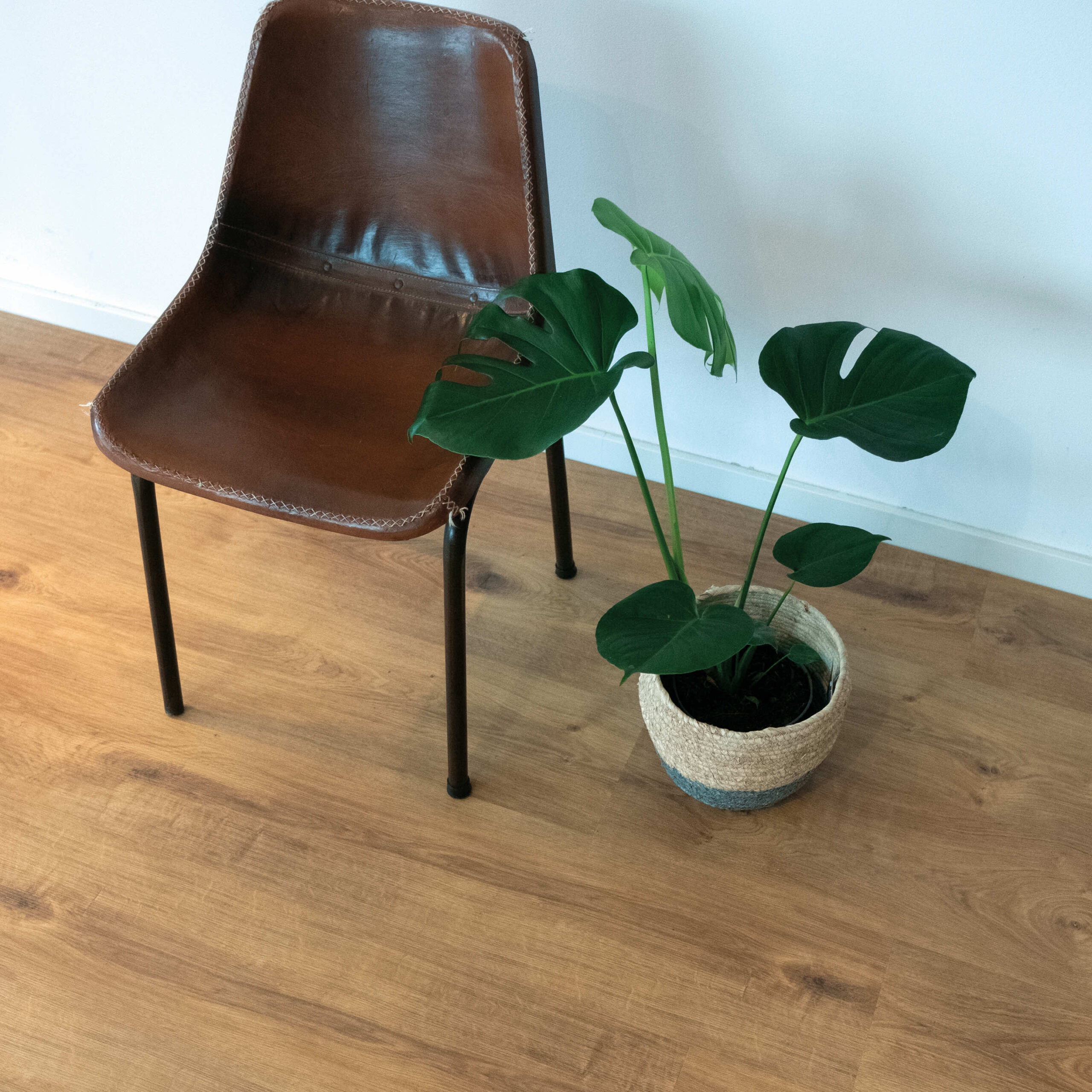 Caramel Millenium Oak - Image 6