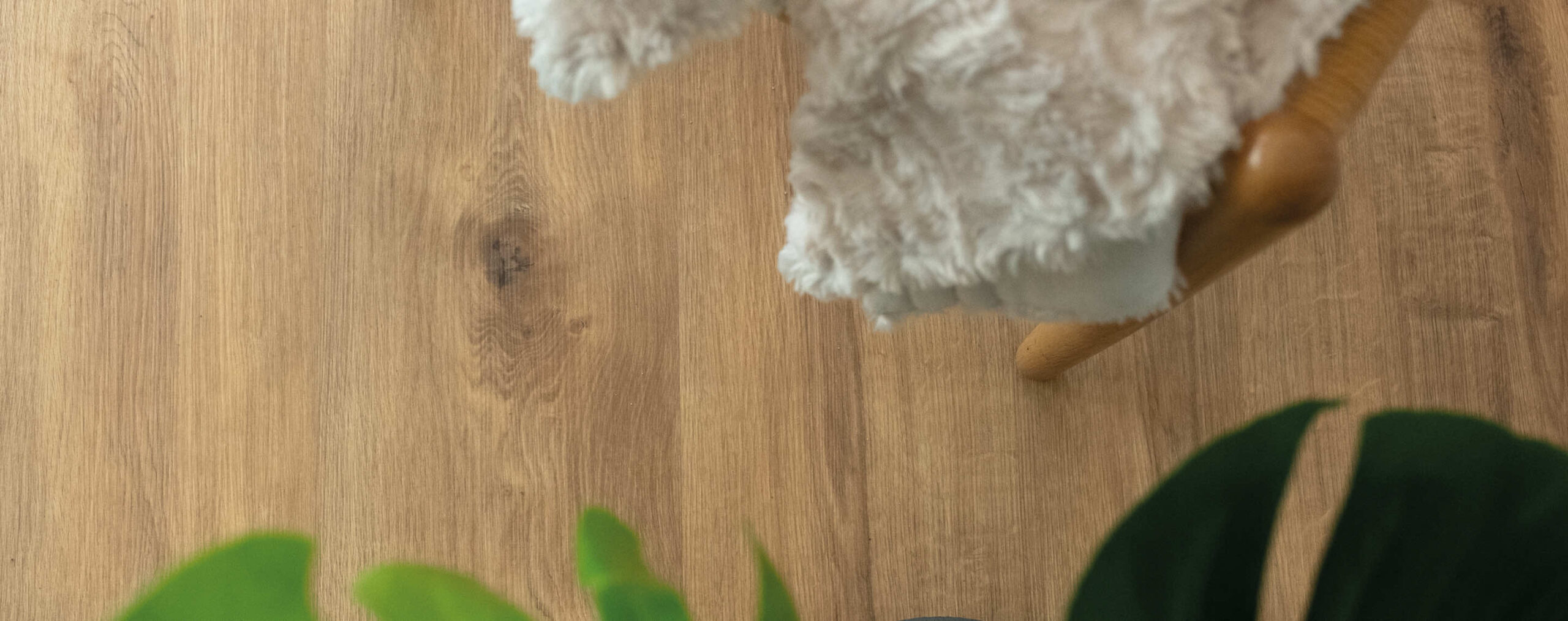 Caramel Millenium Oak - Image 5