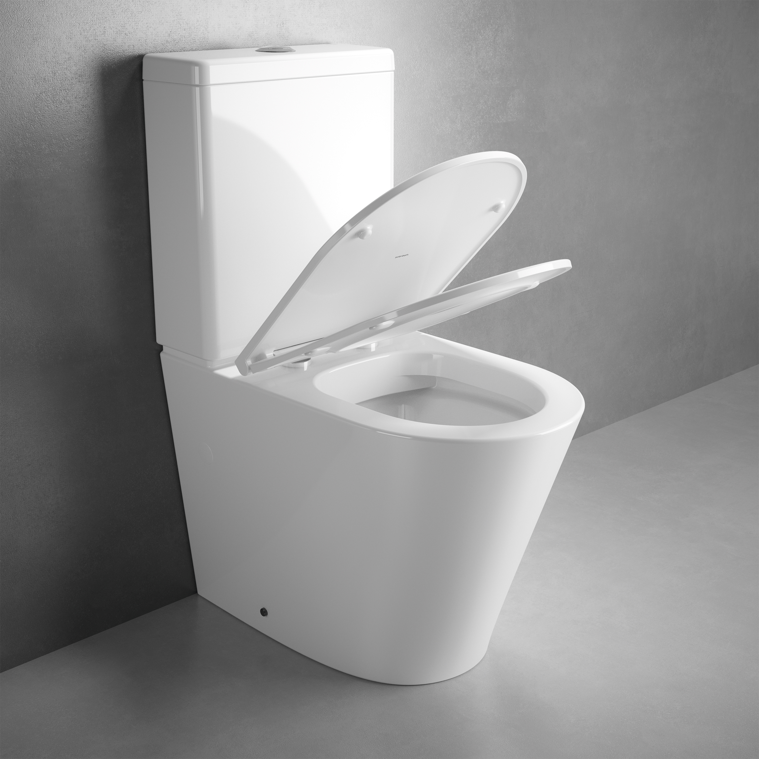 Aquitania Compacta - Image 4