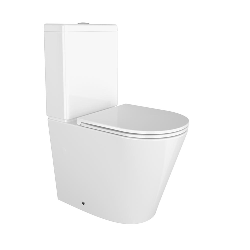 Aquitania Compacta - Image 3