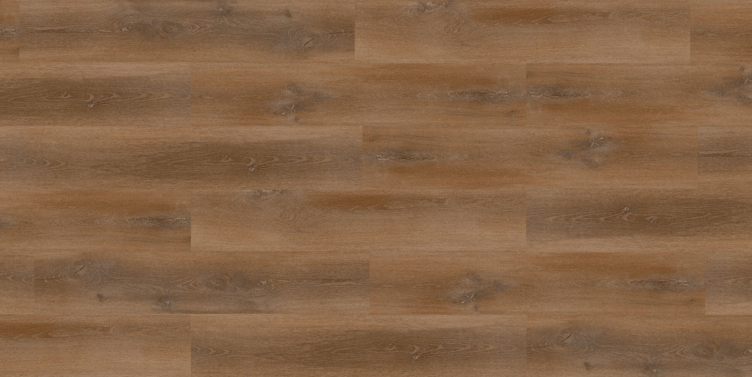 Coconut Silky Oak - Image 5