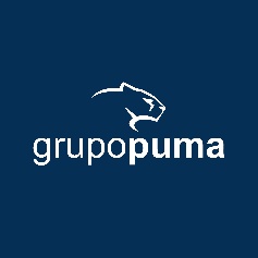 Grupo Puma - Mat. Construção e Ferramentas