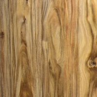 Placa de PVC brilhante Im 369